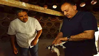 أبراج حمام ومزارع بط.. أسيوط تحول قراها إلى وحدات إنتاجية