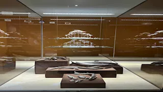 "بريق الفضة.. فن متجدد عبر العصور" معرض أثري مؤقت بمتحف شرم الشيخ