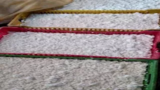 ضبط مصنع خثرة غير مرخص ومخزن مواد غذائية مجهولة المصدر ببني سويف (صور)