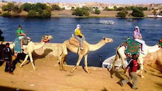 أهلها ينامون بجوار التمساح ويدفنون الزوار في الرمال.. قرية أسوانية أغرب من الخيال -صور