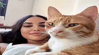  رانيا يوسف وياسمين صبري وأحمد فهمي.. 20 صورة لنجوم الفن مع حيواناتهم الأليفة