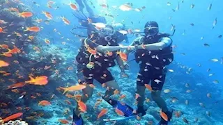 جنة تحت الماء.. سحر الشعاب المرجانية يجذب عشاق الأنشطة البحرية بجنوب سيناء  