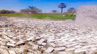 بالصور- إزالة 904 حالات تعدِ على أملاك الدولة والأراضي الزراعية بسوهاج