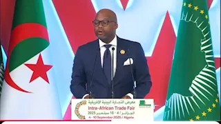 إطلاق صندوق منطقة التجارة الحرة القارية الأفريقية لدعم القطاع الخاص في الجزائر قريبا 