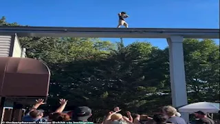 طفل يتجول فوق جسر قطار مرتفع وهذا ما حدث له.. فيديو مرعب وصور صادمة