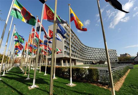 فوز مصر برئاسة المجلس التنفيذي لمنظمة اليونسكو العالمية