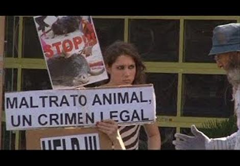 مظاهرات بإقليم كاتالونيا لمنع إستخدام الحيوانات في عروض السيرك