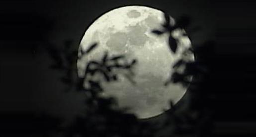 القمر في أقرب نقطة من الإرض