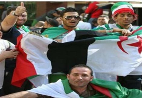 إخوان الجزائر يعتدون على منتخب مصر لكرة اليد بالحجارة