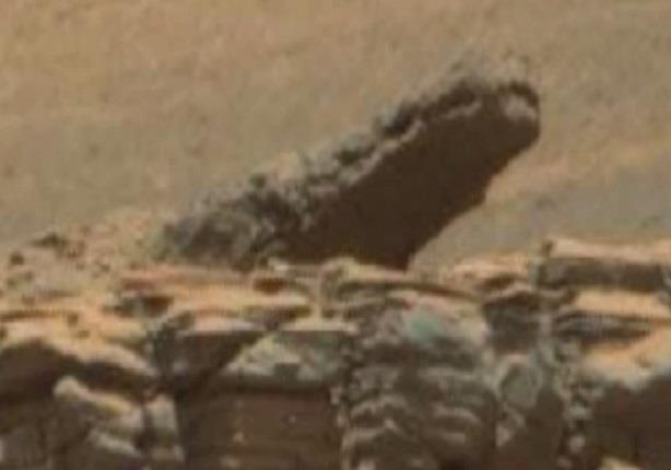 العثور على “ تمساح حجرى ” على سطح كوكب المريخ