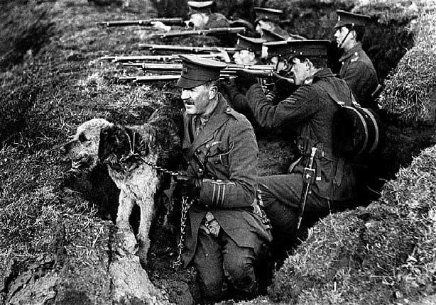 الكلاب أبطال الخنادق في الحرب العالمية الأولى