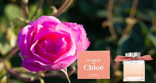 فلنذهب في لرحلة إلى قلب حديقة عطر Chloé والوردة الدمشقية 