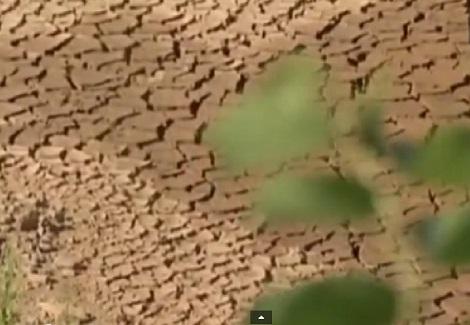 الجفاف يهدد مونديال البرازيل 