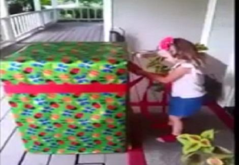 رد فعل طفلة تجد والدها داخل صندوق هدايا بعد غياب طويل