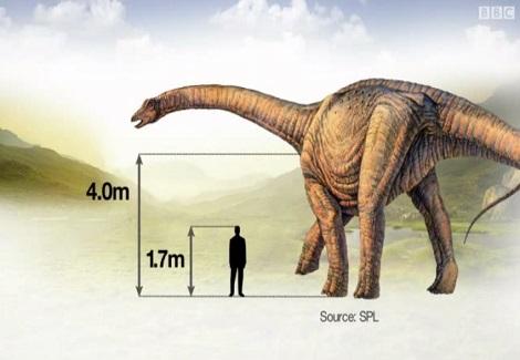 العثور على "أكبر ديناصور" على الإطلاق عاش على كوكب الأرض