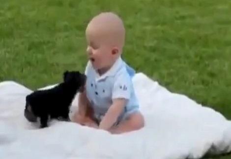 شاهد هذا الطفل والكلب قمه البراءه 