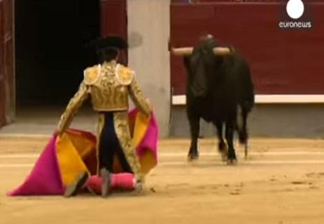 ثور هائج ينتصر على ثلاثة مصارعين اسبان في حلبة مدريد