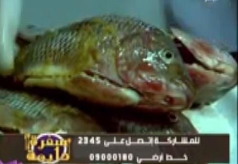   سمك بلطى مقلى - الشيف محمد فوزى