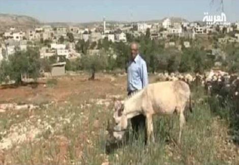 إسرائيل تمنع مزارع فلسطيني من التجول على حماره