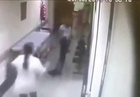 ثور هائج يطارد الممرضات داخل ممرات مستشفى برازيلي