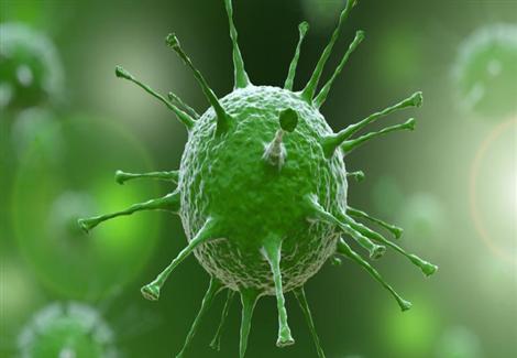 العثور على فيروس يعيش في أمعاء نصف سكان العالم