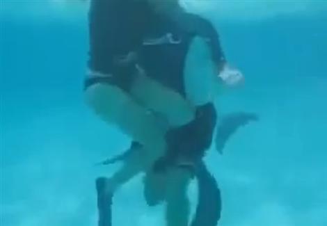 دولفين يداعب فتاة تحت الماء