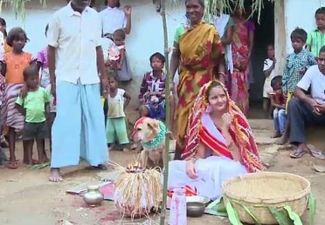 فتاة هندية وكلب في عش الزوجية