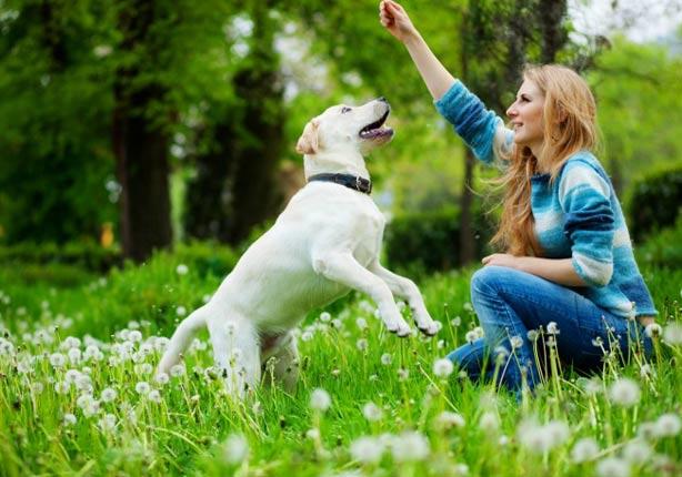 تربية الكلاب..علاج لارتفاع ضغط الدم                                                                                                                   