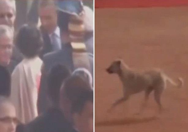 كلب ضال يسرق الأضواء من أوباما أثناء مراسم استقباله في الهند