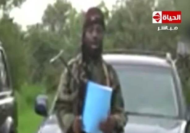 الجيش يقضى على أكثر من 100 مسلح من حركة " بوكو حرام " الإرهابية