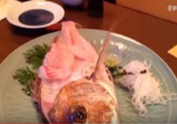  سمكة تقفز من طبق الطعام أثناء تناوله