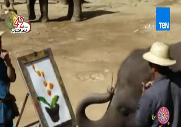 فيل يبدع فى رسم لوحة فنية