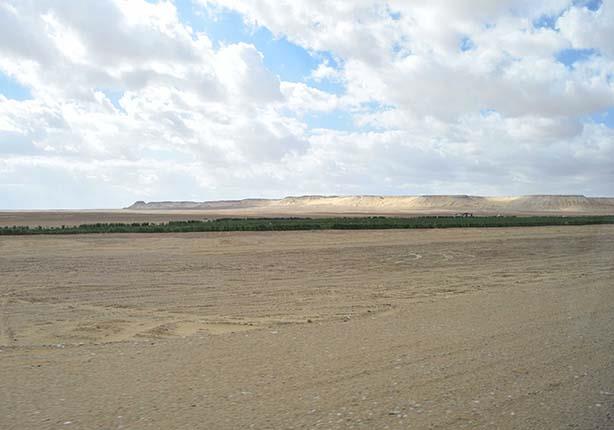 الزراعة طرح 99 قطعة أرض إصلاح زراعي للبيع في مزاد علني بـ مصراوى