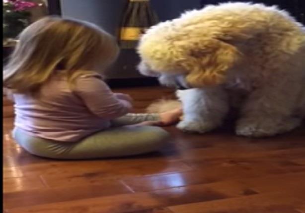 طفلة تعلّم كلبها المصافحة