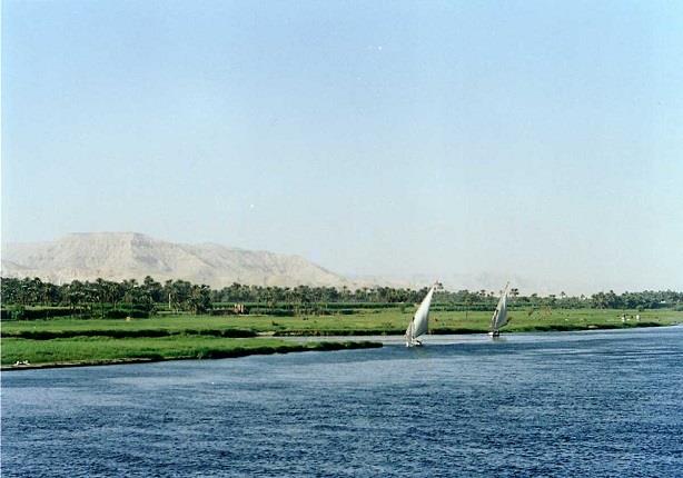 صحيفة اسرائيلية: تل ابيب تبتكر نباتات معدلة وراثياً تجفف مياه نهر النيل وتمنع وصولها لمصر