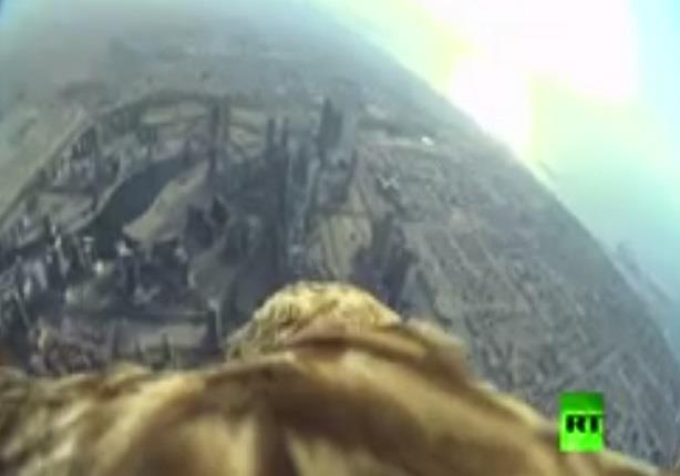 نسر يصور فيديو بانورامي لدبي من أعلى برج خليفة