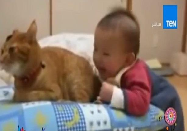طفل رضيع يأكل "ديل قطة"