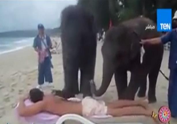 فيل كبير وضخم يقزم بعمل "مساج" لرجل على أحد الشواطئ