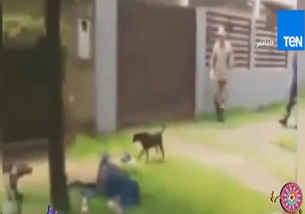 فيديو لكلب يقاوم رجال الشرطة دفاعاً عن صاحبه المصاب