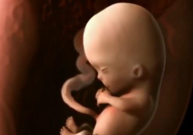 مراحل تكوّن الجنين خلال أشهر الحمل