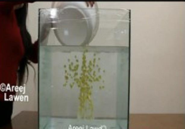 شاهد فنانة فلسطينية تقوم بالرسم داخل الماء بزيت الزيتون
