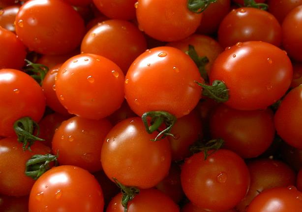 التموين: أسعار الطماطم تنخفض للنصف بعد 10 أيام