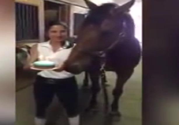 حصان يطفئ شمع عيد ميلاده بابتسامة