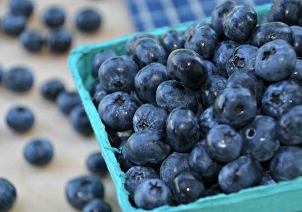 التوت الأزرق                                                                                                                                                                                            