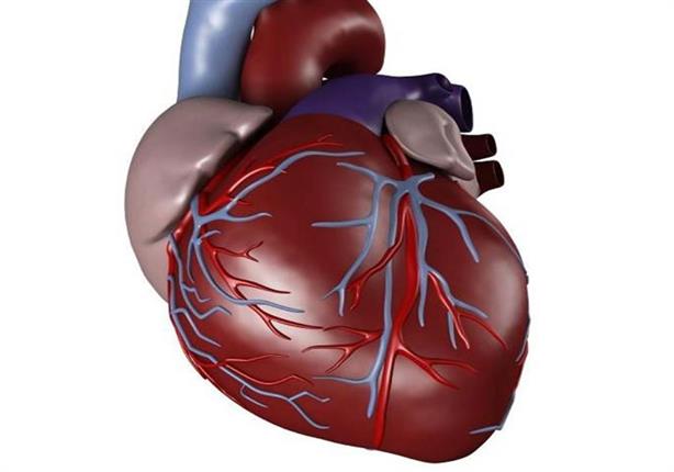  قلب مريض استمر ينبض لمدة نصف ساعة بعد إزالته من جسمه