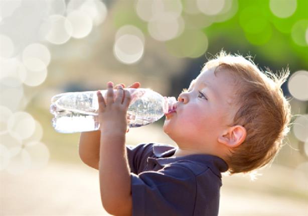 صور صفل يشرب ماء