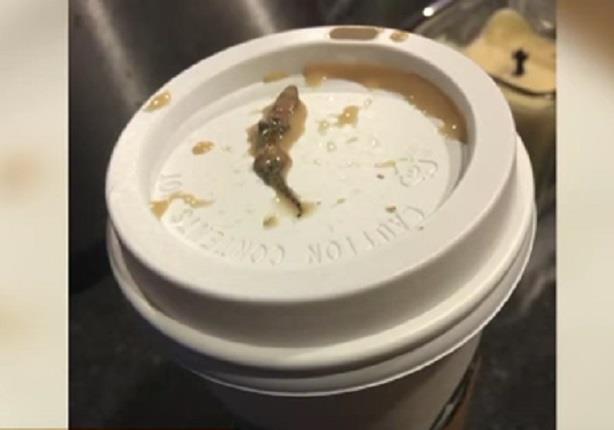 سيدة أمريكية تجد ''سحلية'' في فنجان قهوة بمقهى ستاربكس الأمريكي