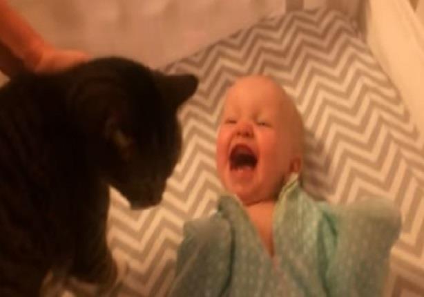 شاهد ردّ فعل لرضيع يرى قطة لأول مرة