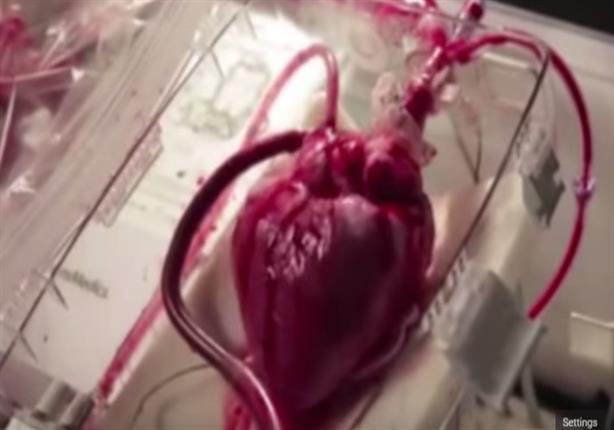 قلب طبيعي ينبض للمرة الأولى خارج الجسم البشري