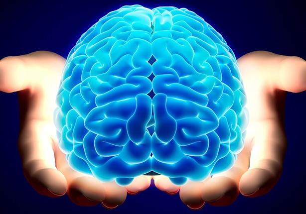 أحمد المسلماني : العلماء يكتشفون دماغ ثالث في جسم الانسان يعمل لوحده 